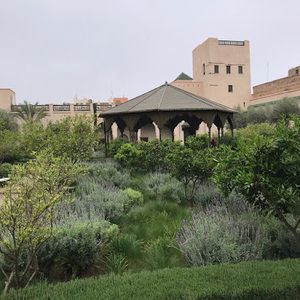 Meet your Posher, Tiphaine